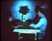 Molytej, 2009, video, 8 min