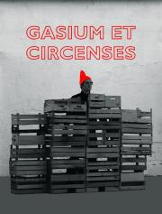 Katarina Šević: Gasium et Circenses, 2013, perfromansz, kép a videóból