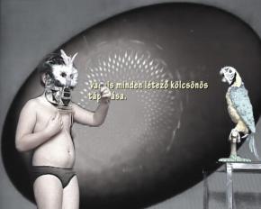 Absolute-absurd, video, 2012