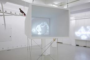 Everything eats, everything is eaten, 2012