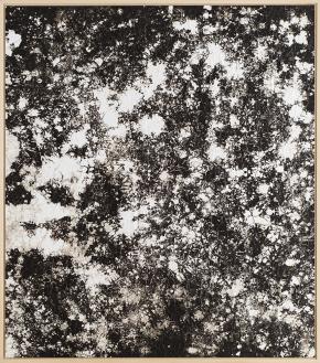 hommage á Simon Hantai, 2017, Analogue Photograph, chemigram on dokubrom paper, 100 x 90 cm