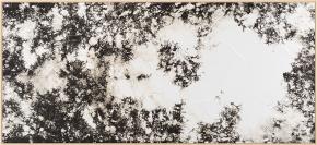 hommage á Simon Hantai 2017 Analogue Photograph, chemigram on dokubrom paper, 100 x 220 cm