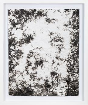 hommage á Simon Hantai, 2017, Analogue Photograph, chemigram on dokubrome paper, 60 x 50 cm